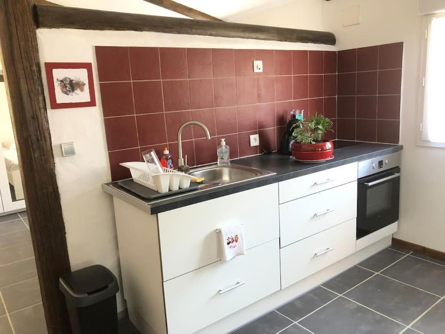 Logement Insolite Au Coeur D'Une Ecurie Arles Exterior foto